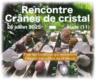 crânes cristal nature
