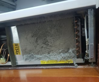 Photo of the clogged refrigerator coils