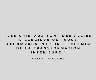 a quote from the author of the book, les miserables
