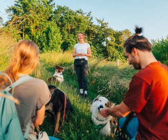 Gemeinsames Waldbaden in der Gruppe – Mensch-Hund-Teams achtsam unterwegs bei Takoda