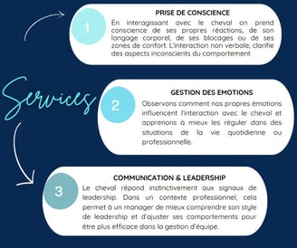 Infographie mettant en avant les principaux avantages de l'Equicoaching pour les PME : amélioration 