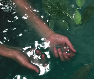 Mains plongées dans l’eau illustrant la réception subtile d’un soin énergétique à distance
