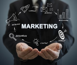 Strategie digitali di marketing per start up sostenibili