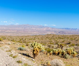 desert dirt road with colorado river in the distance