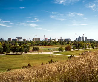 Park near the clove condos