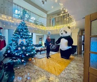 Šokanti panda, pandutės sveikinimas