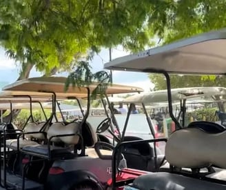 Golf Cart Rentals