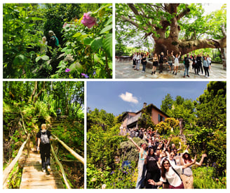 erasmus students at Tsagkarada herbal walk and visit to Dorris Serpentine garden