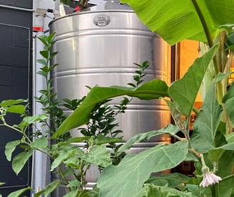 metal rain tank custom size