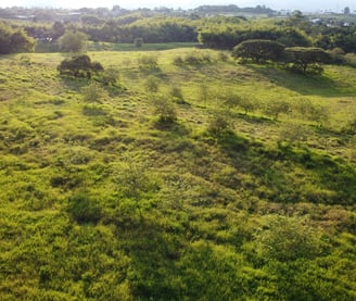 Lote en Venta Cerritos