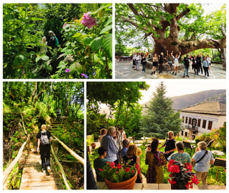 Guided herbal walks to different groups and locations @ Mt. Pelion