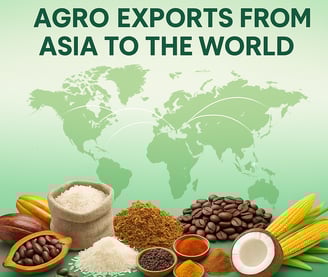 High Business International sourcing cocoa and rice from Southeast Asia