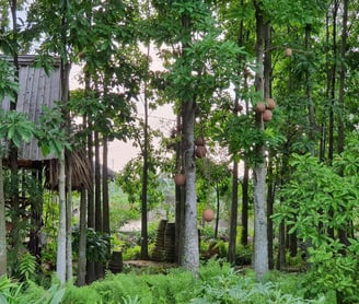 Sala (Sal) garden facing the rooms promotes relaxation and potentially improves sleep quality.