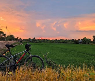 Bicycle path through morning glory fields at sunset near Saigon Garden Homestay.