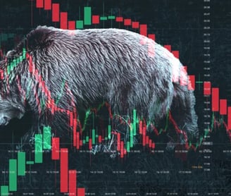 What is some stock market advice?