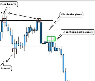 How do you predict price action?