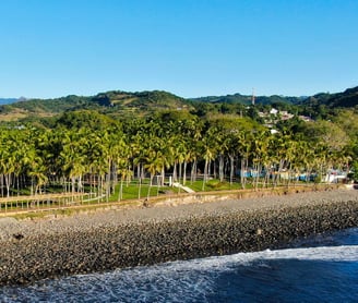 a beach with palm trees and a body of water in front of a beach in El Salvador