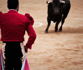 bull fighting