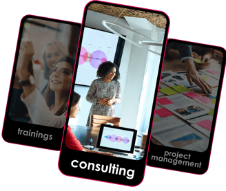 consutling, project management and training services
