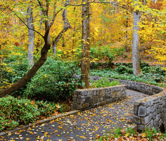 Fall garden leaves