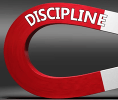 How does one maintain discipline on trading stock options?