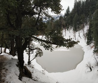 a lake surrounded by trees and snow