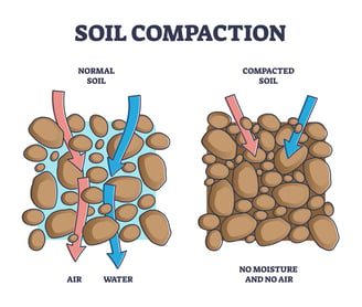 Soil Compaction diagram