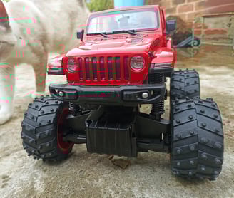 Jeep Rubicon con gato a un lado