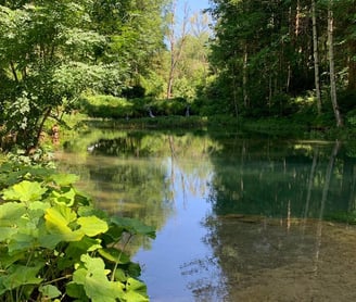 Hasenbach