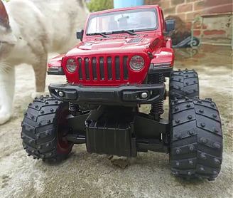 Jeep Rubicon con gato a un lado
