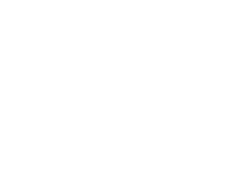 a bird flying in the dark sky