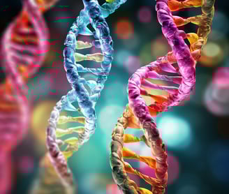 Y chromosome on life