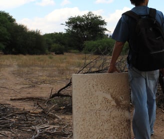 Julien BERGER Berg en Argentine San Carlos altiplano 