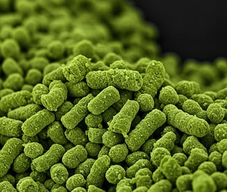 Microparticulated Potato Protein Illustration