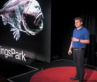 Meet the mysterious "monsters" of the deep sea