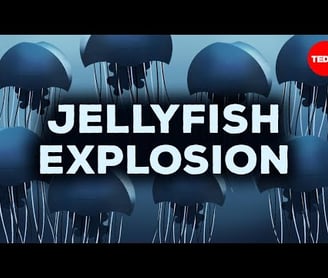 The One Thing Stopping Jellyfish From Taking Over