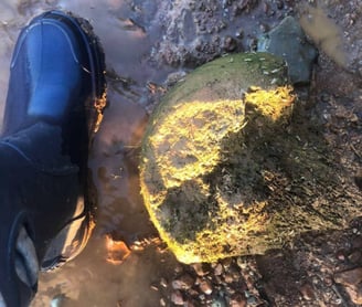 100,000-Year-Old Woolly Mammoth Bones In Russia