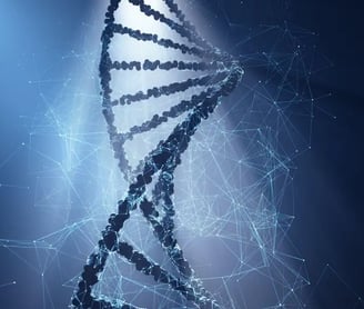DNA Nanobots can exponentially Self-replicate
