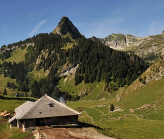 Gruyere Alpage chalet in the Alps during summer