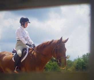 a woman riding a horse in a field