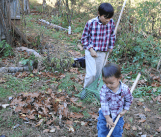 Fall Garden cleanup