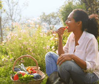 Permaculture Guilds Lazy Gardeners