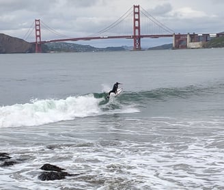 China Beach San Francisco