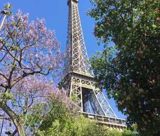 árvores com flores e Torre Eiffel ao fundo