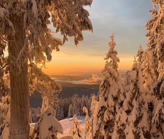 View from the top of a snowy mountain