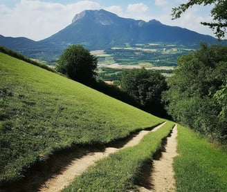 sentier, herbe, arbres, vue, montagne, ciel