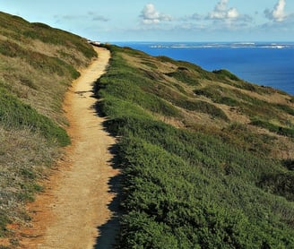 sentier, landes, mer, ciel, nuages