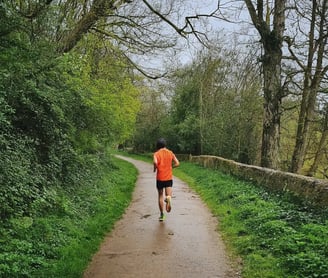coureur, de dos, sentier, forêt, arbres, muret