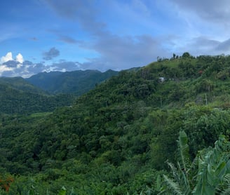 a view of a mountain range from a window