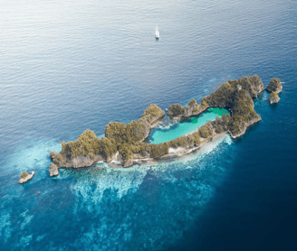 a sailboat is sailing in the ocean